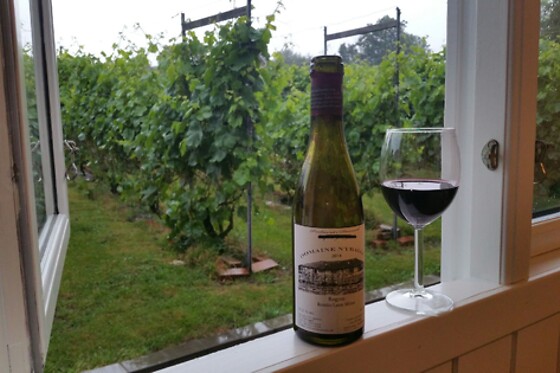 Vinsmagning for 4 på Nyballe Vingård