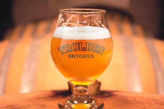 Trolden Bryghus - photo 2