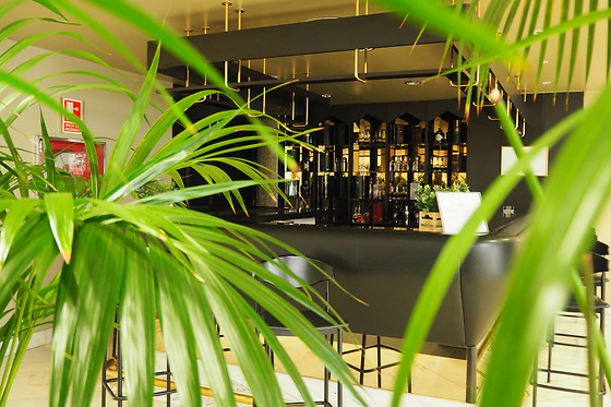 HOTEL VEGAS ALTAS - photo 5