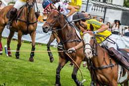 Copenhagen Polo Club