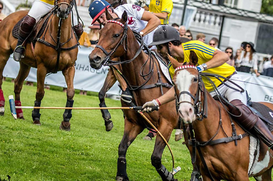 Copenhagen Polo Club - photo 1