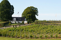 Lindely vingård