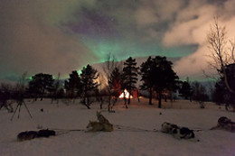 Wild Lapland