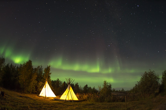 Wild Lapland - photo 3