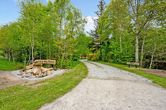 Mosehuset Bed & Breakfast - photo 3