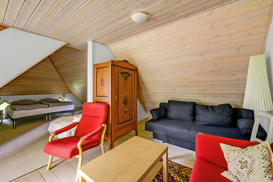 Mosehuset Bed & Breakfast - photo 4
