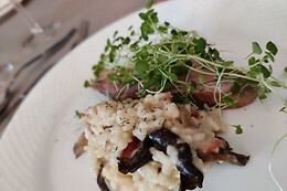Cafe Hawgus