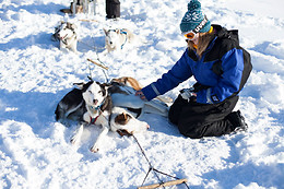 Wild Lapland