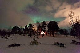 Wild Lapland