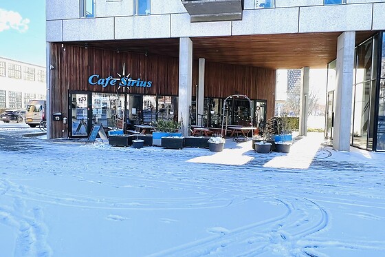 Cafe Sirius - photo 2