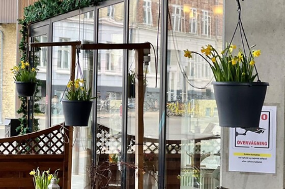 Cafe Sirius - photo 9