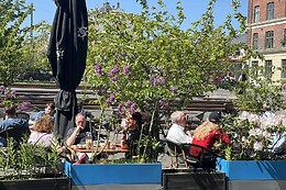 Cafe Sirius