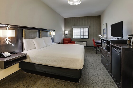 Online Booking EPS - photo 9