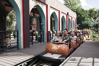 TIVOLI SØLVKORT