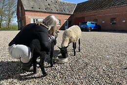 Kulinariske Kildegaarden