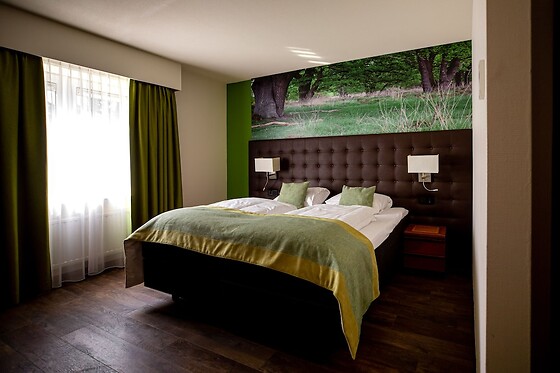 Online Booking EPS - photo 6