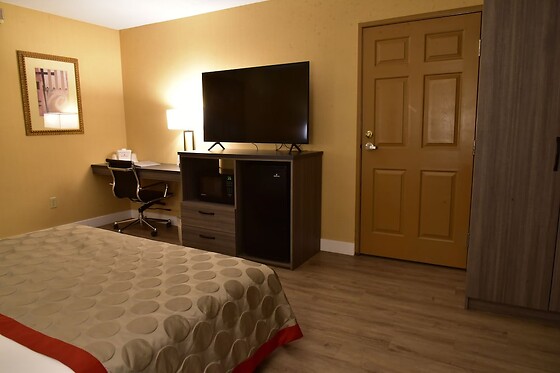 Online Booking EPS - photo 2