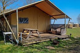 Trelde Næs Camping