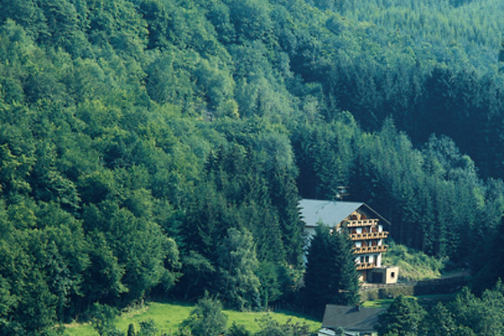 Wolffhotel - photo 1