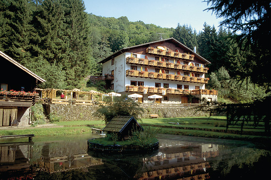 Wolffhotel - photo 2