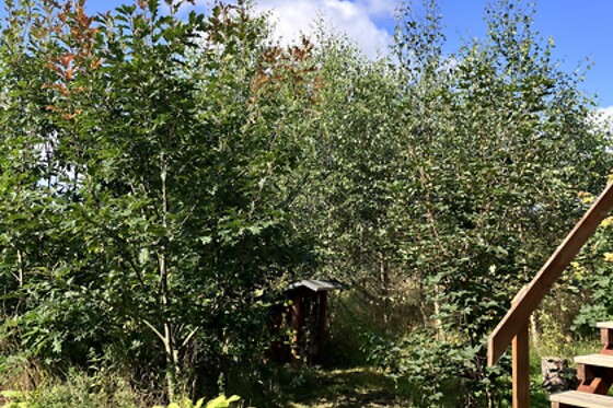 Obitsøminde - photo 4