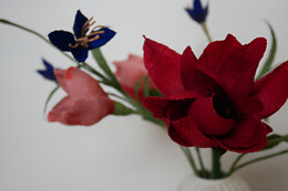 Evigblomst