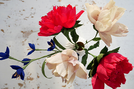 Evigblomst - photo 1