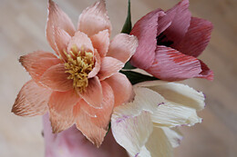 Evigblomst