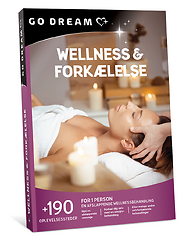 WELLNESS & FORKÆLELSE 499