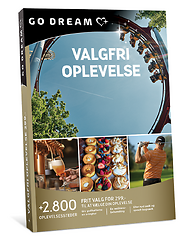 VALGFRI OPLEVELSE 299
