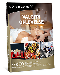 VALGFRI OPLEVELSE 499