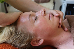 Wellness Aarhus v/EuropeOrganic ApS