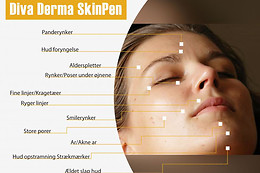Wellness Aarhus v/EuropeOrganic ApS