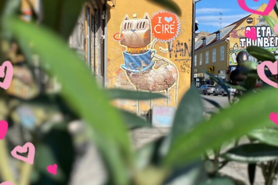 Cafe Cire - photo 3