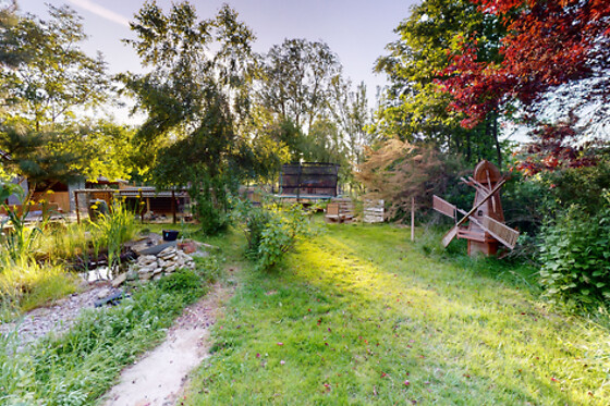 Le Souffle du Saule - photo 35
