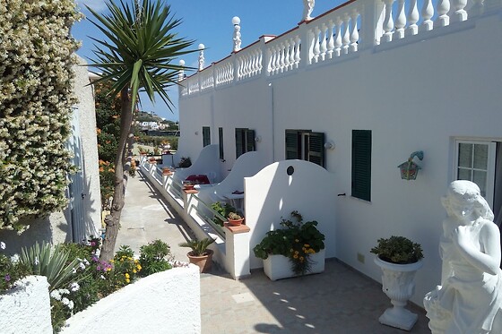 Online Booking EPS - photo 0