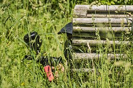 Paintball Parken
