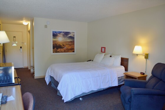 Online Booking EPS - photo 3