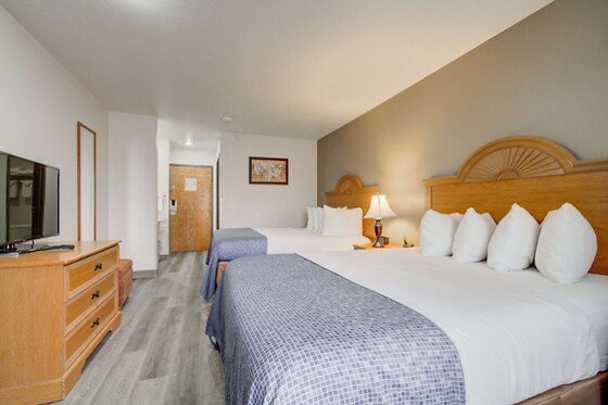 Online Booking EPS - photo 8