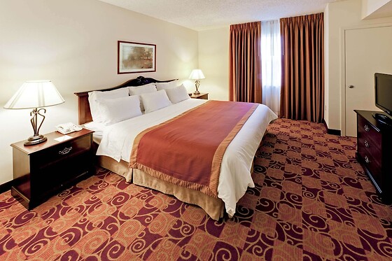 Online Booking EPS - photo 6