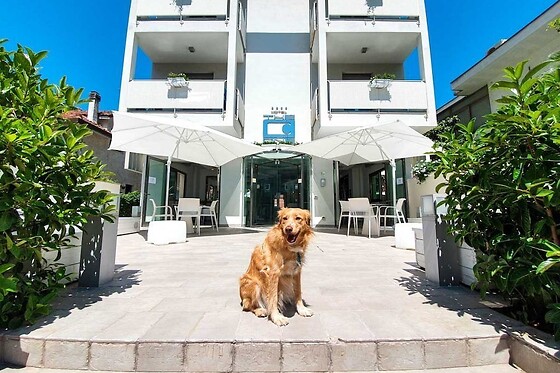 Online Booking EPS - photo 0