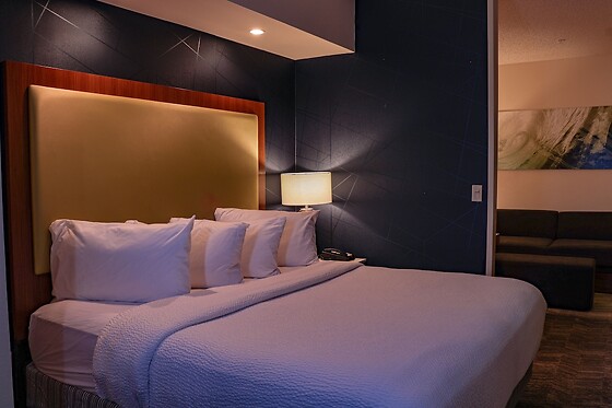 Online Booking EPS - photo 7