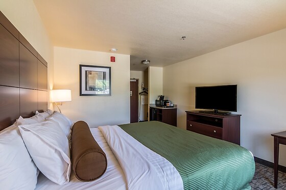 Online Booking EPS - photo 5