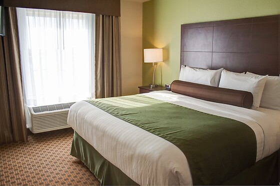 Online Booking EPS - photo 3