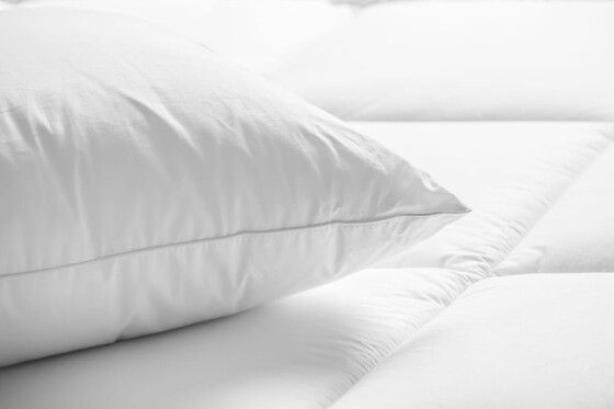 Online Booking EPS - photo 5