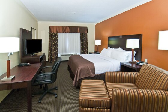 Online Booking EPS - photo 3