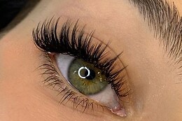 Victoria Lashes