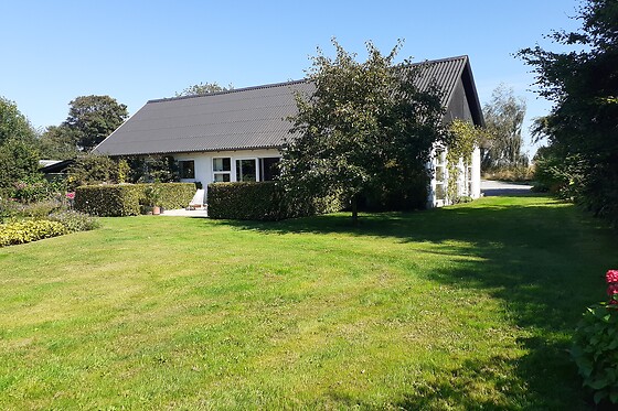 Brovst Bed & Breakfast - photo 1