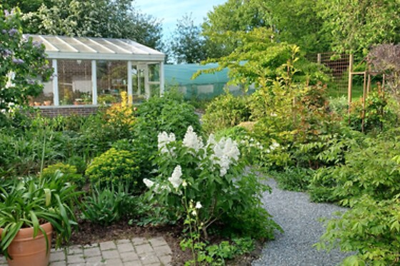 Brovst Bed & Breakfast - photo 0