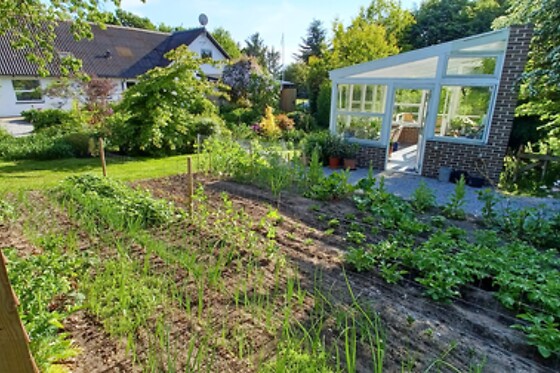 Brovst Bed & Breakfast - photo 4